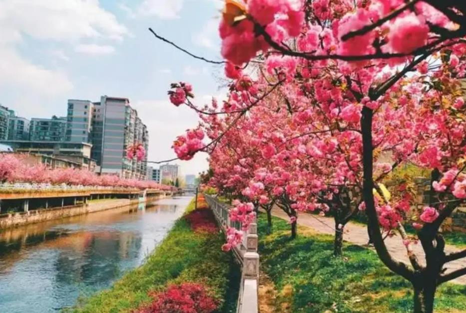 四季花溪